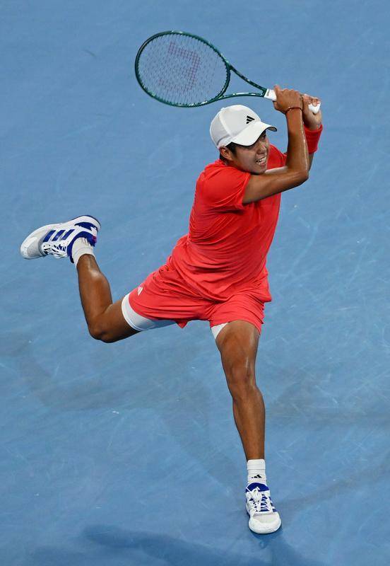 戴维斯杯翻盘澳网，梅德韦杰夫关键制胜的简单介绍