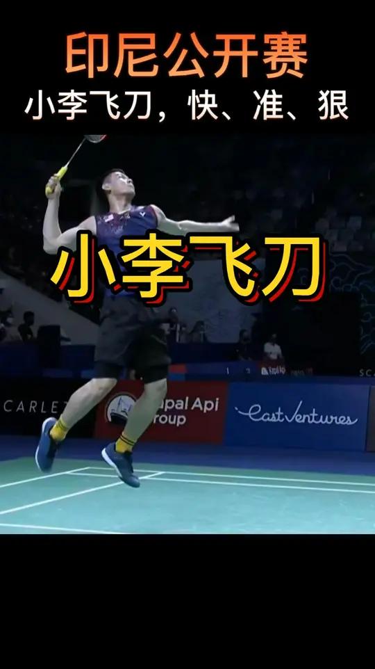 开云体育-丹麦队绝杀印尼队，李梓嘉关键制胜的简单介绍