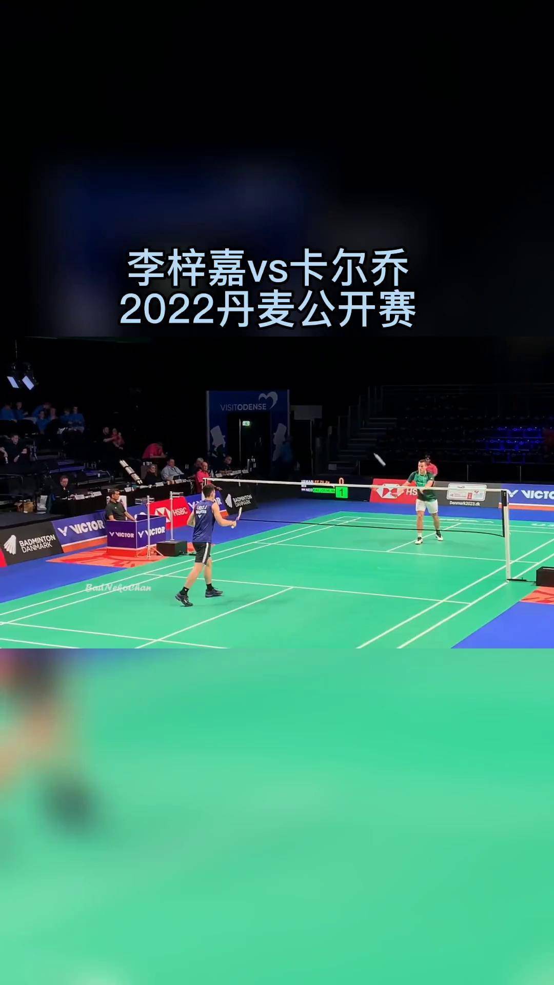 丹麦队绝杀印尼队，李梓嘉关键制胜的简单介绍