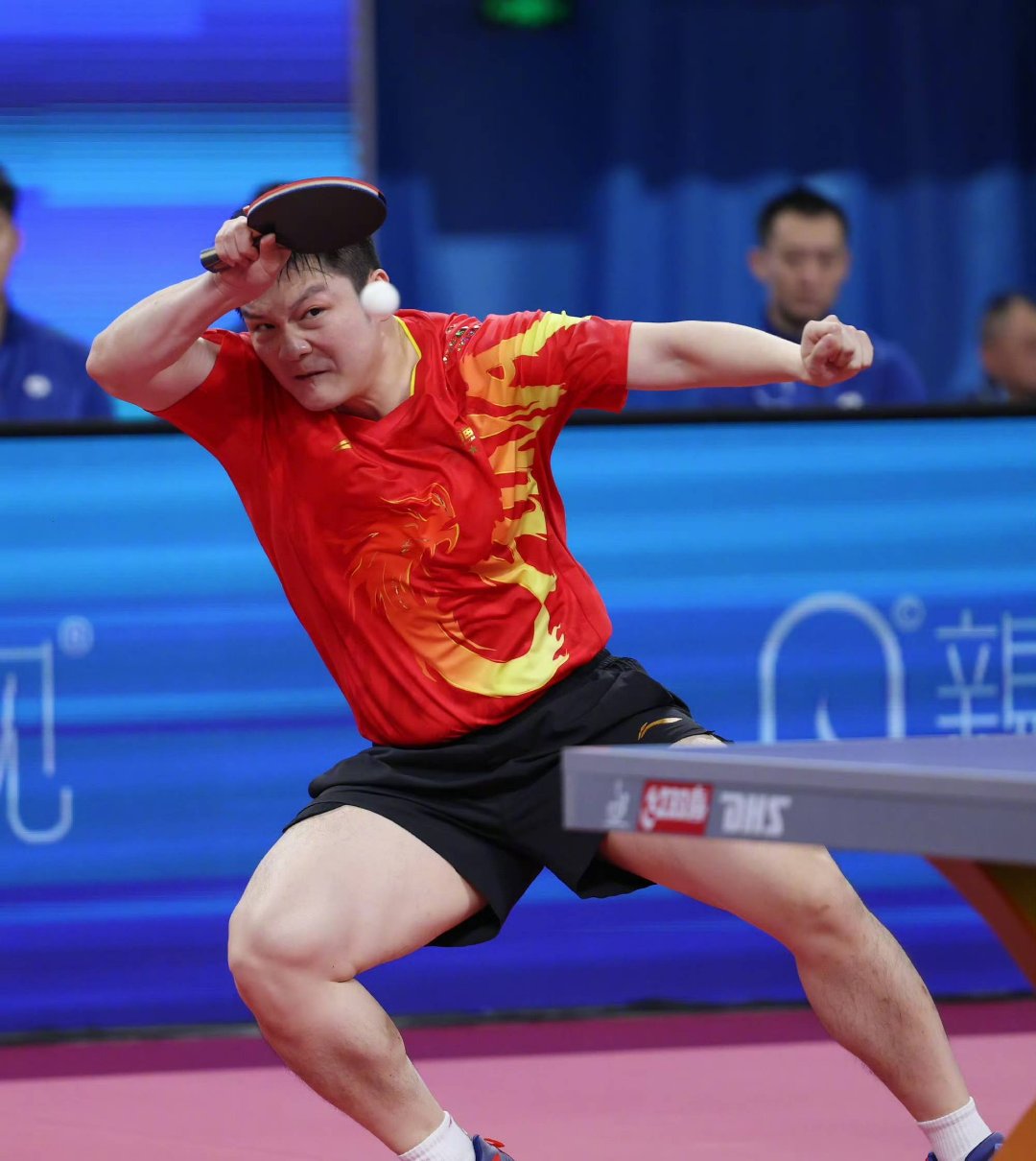 德国队横扫中国队，樊振东高光表现